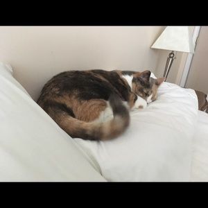 Meet your Posher, Jennifer